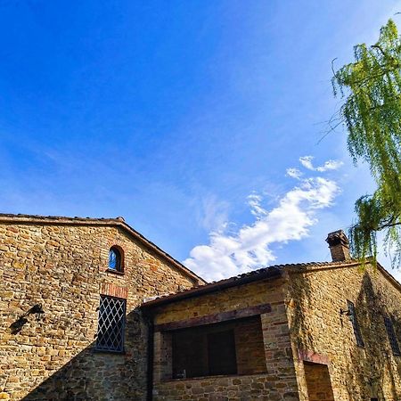 B&B Nel Vigneto Castelplanio Dış mekan fotoğraf