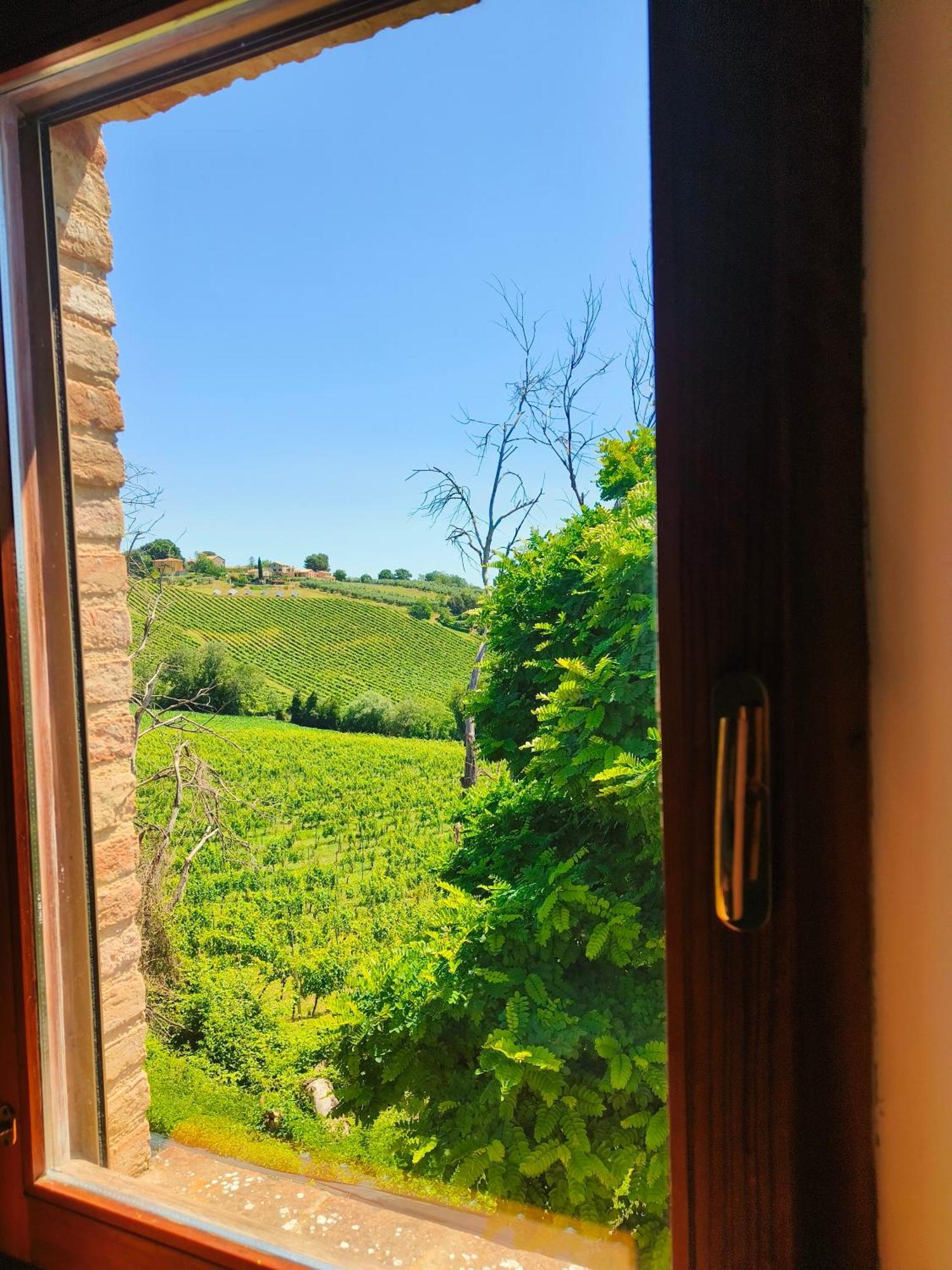 B&B Nel Vigneto Castelplanio Dış mekan fotoğraf